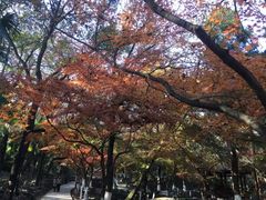 -虞山风景区