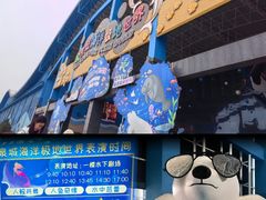 -泉城欧乐堡海洋极地世界