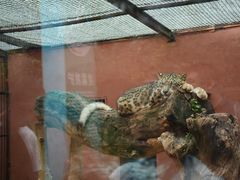 -青藏高原野生动物园