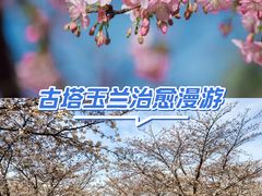 -汇龙潭