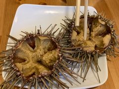 生海胆-海胆小馆(东北水饺·春柳店)