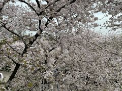 -苏州上方山国家森林公园