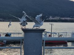 -海埂大坝