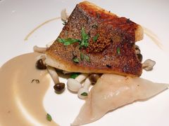 地中海煎海鱼-Solo(衡山路店)