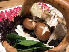 -掂档潮汕牛肉火锅(沈阳万象城店)