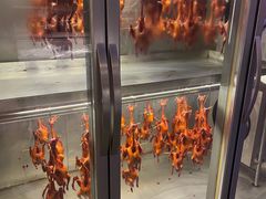 -鸽子侯·家宴·平价海鲜(绿地店)