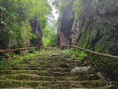 -天女山森林公园