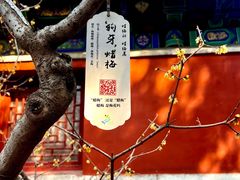 -国家植物园