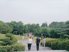 -习家池