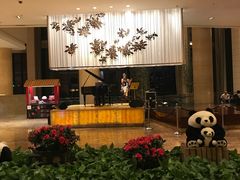 -成都保利公园皇冠假日酒店(熊猫基地店)