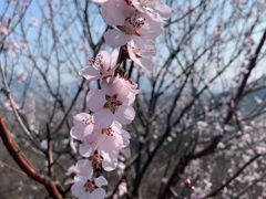 -唐指山风景区