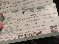 -合肥大剧院