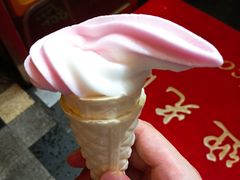 冰淇淋-红鼎坊·老成都火锅(新南门店)