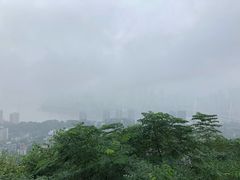 -南山植物园