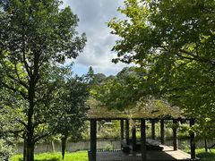 -中国大熊猫保护研究中心雅安碧峰峡基地