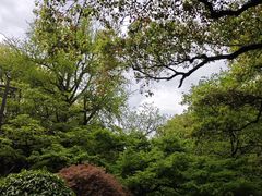 -杭州植物园