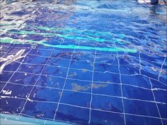 -海帆亲子游泳吴江中心(花园路店)