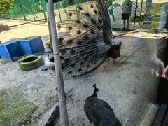 -宁波九龙湖开元度假村