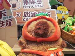 -酷乐潮玩(五道口购物中心店)