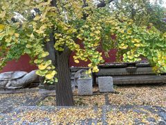 -北京石刻艺术博物馆(五塔寺)