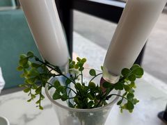 -探窝·竹笙椰子鸡(车陂店)