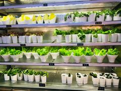 -V-ONE西雅图海鲜自助餐厅(仓山万达广场店)