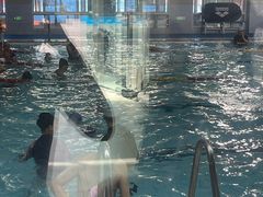 -沈坚强游泳俱乐部(武宁南路店)