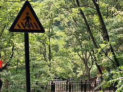 -洛阳花果山景区