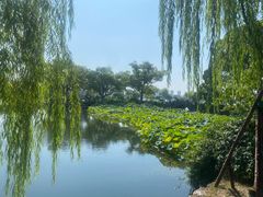 -无锡蠡湖国家湿地公园-蠡园