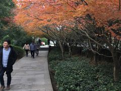 -普陀山风景名胜区-法雨禅寺