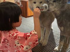 -大江户·温泉洗浴(浑南店)