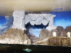 -成都浩海立方海洋公园