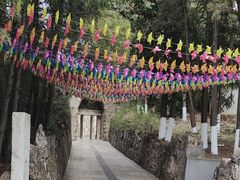 -彩色沙林风景区