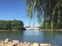 -大兴滨河森林公园