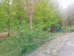 -白水寺森林公园