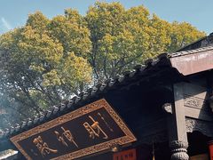 -无锡梅园公园