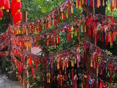 -鸡毛店·川菜(双楠店)