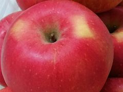 -大连熟食品交易中心