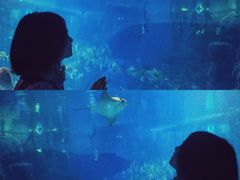 -成都浩海立方海洋公园