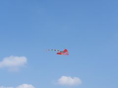 -映月湖中央公园