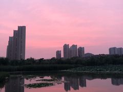 -前关湿地公园