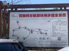 -大岭沟猕猴桃谷风景区