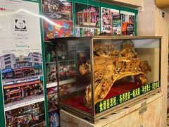 -食德喜·阳山鸡王食研基地