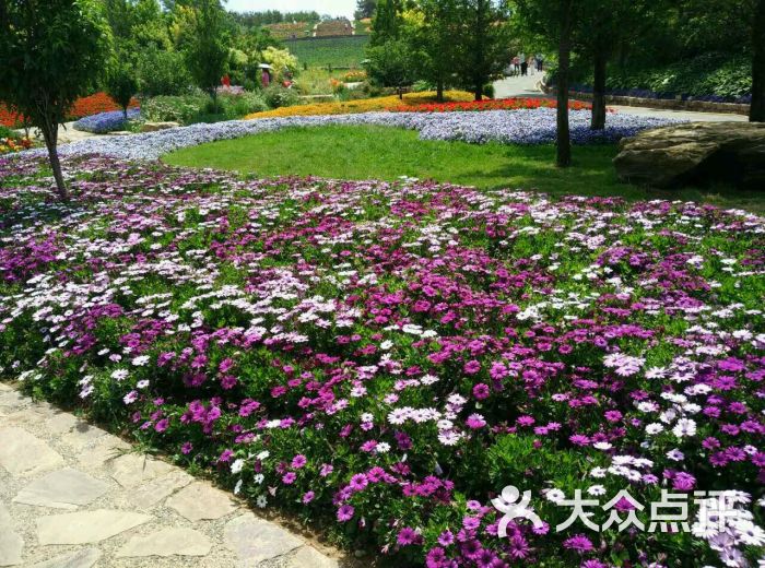 英歌石植物園-圖片-大連周邊遊-大眾點評網