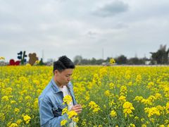 -三圣花乡旅游区