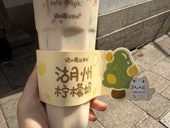 -猫的魔法密林(衣裳街店)