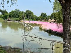 -上海杨姆庄园