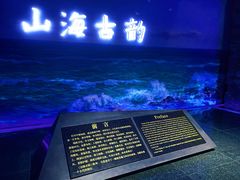 -烟台市博物馆