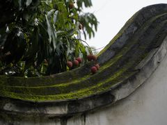 -西禅古寺售票处