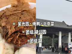 -紫光园·烤鸭·北京菜(团结湖店)